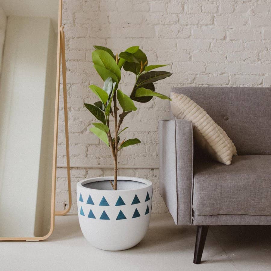 Large Planter Ideas Leftonolive