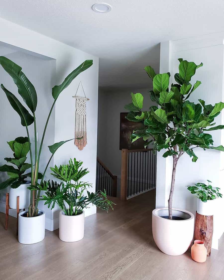 Large Planter Ideas Plantgirls