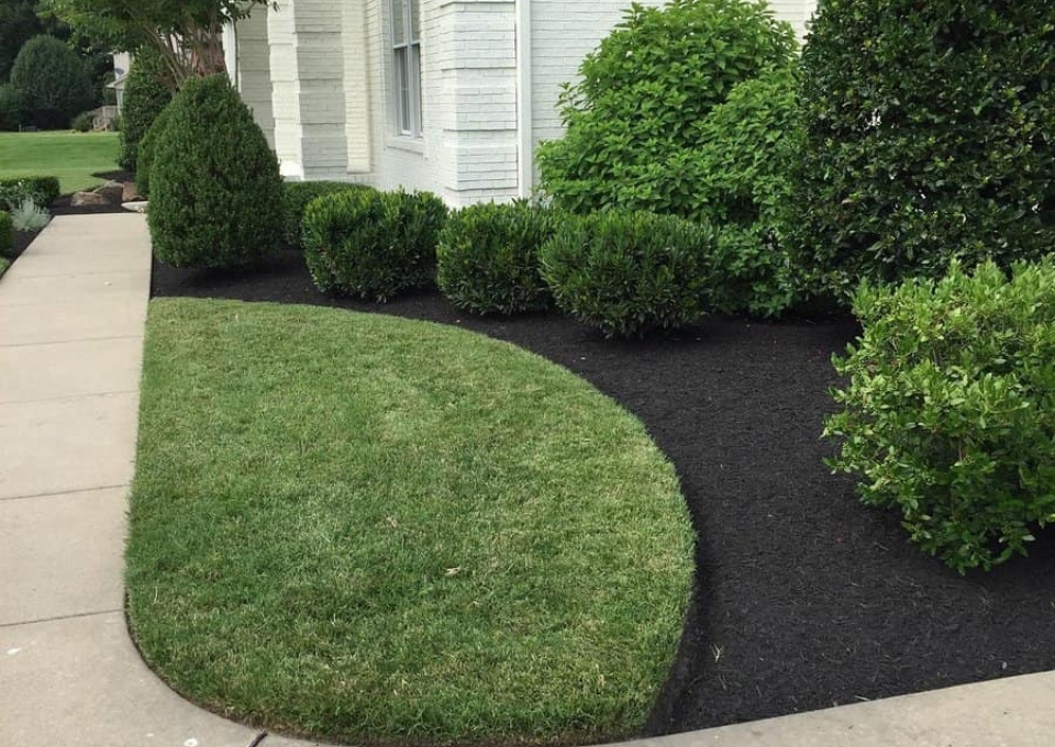 Lawn Simple Landscaping Ideas Bryanwomackyahoocom