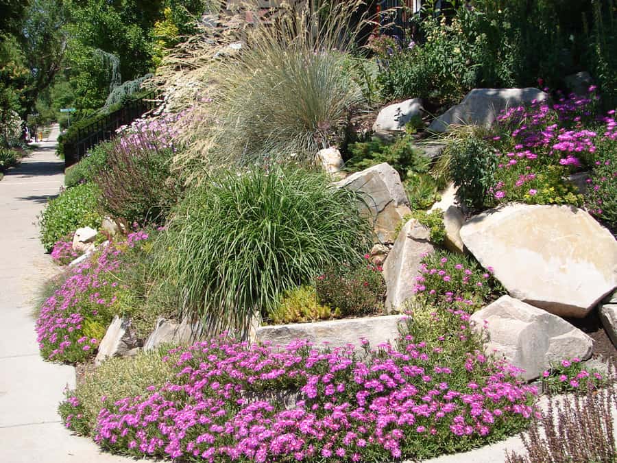 Low Maintenance Landscaping Ideas For Front Of House