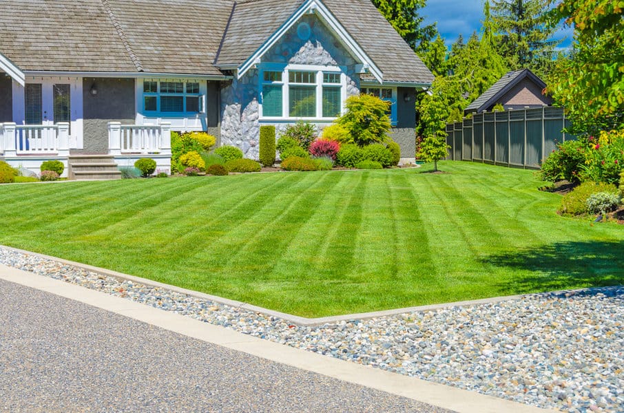 Low Maintenance Landscaping Ideas For Front Of House