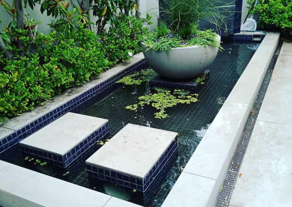 Modern Backyard Pond Ideas Yarraponds