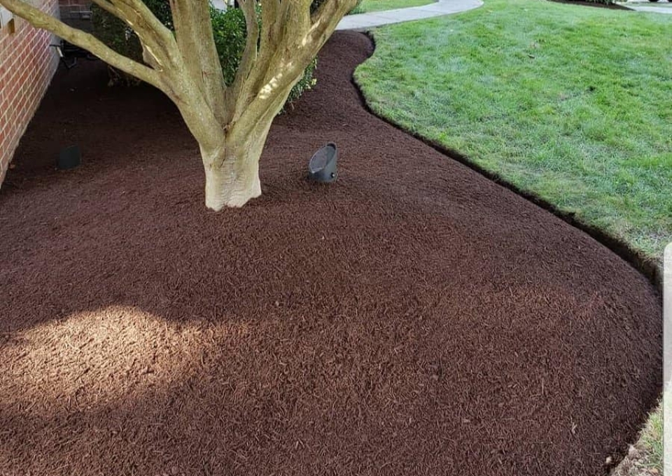 Mulch Garden Edging Ideas Dimofflandscapingllc