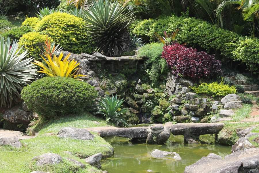 Natural Backyard Pond Ideas