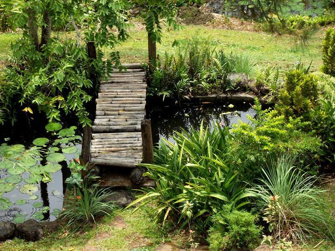 Natural Backyard Pond Ideas