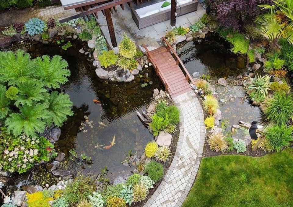 Oasis Backyard Pond Ideas Streamworks Designs