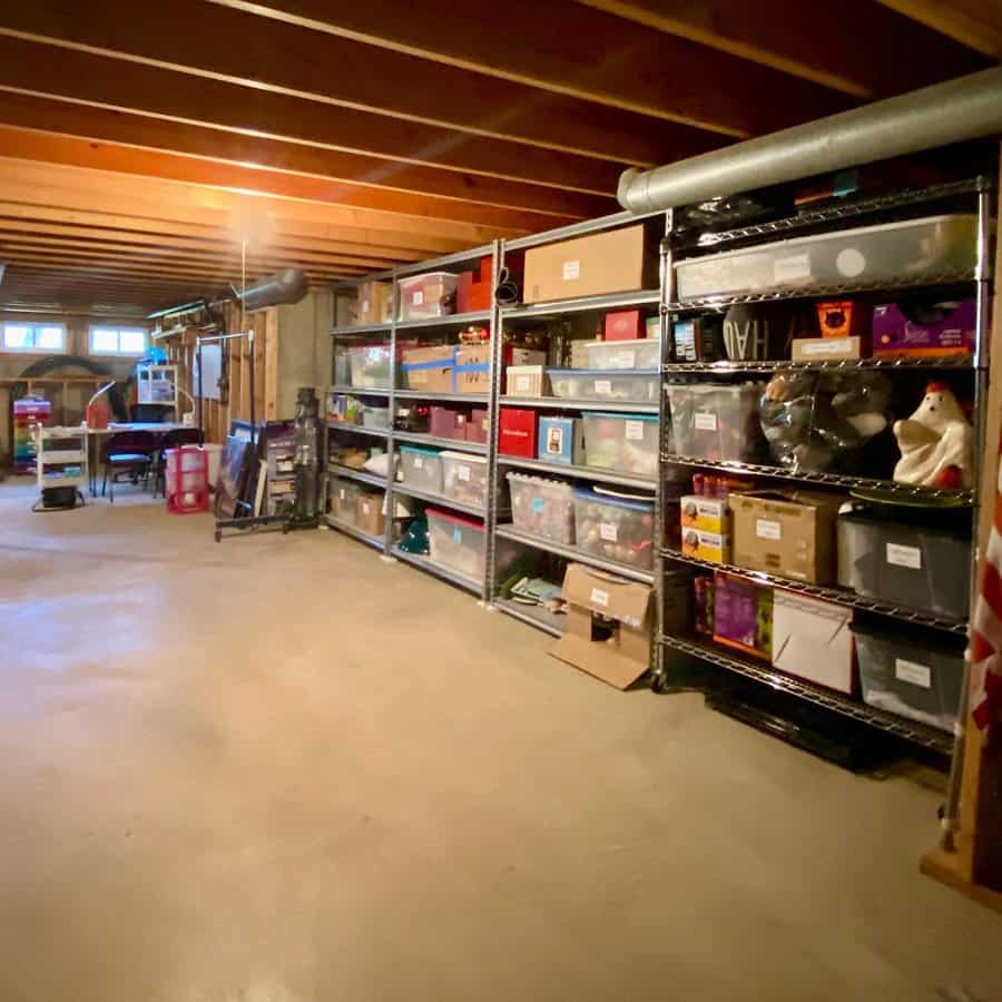 Organized Basement Storage Ideas Organizestlouis