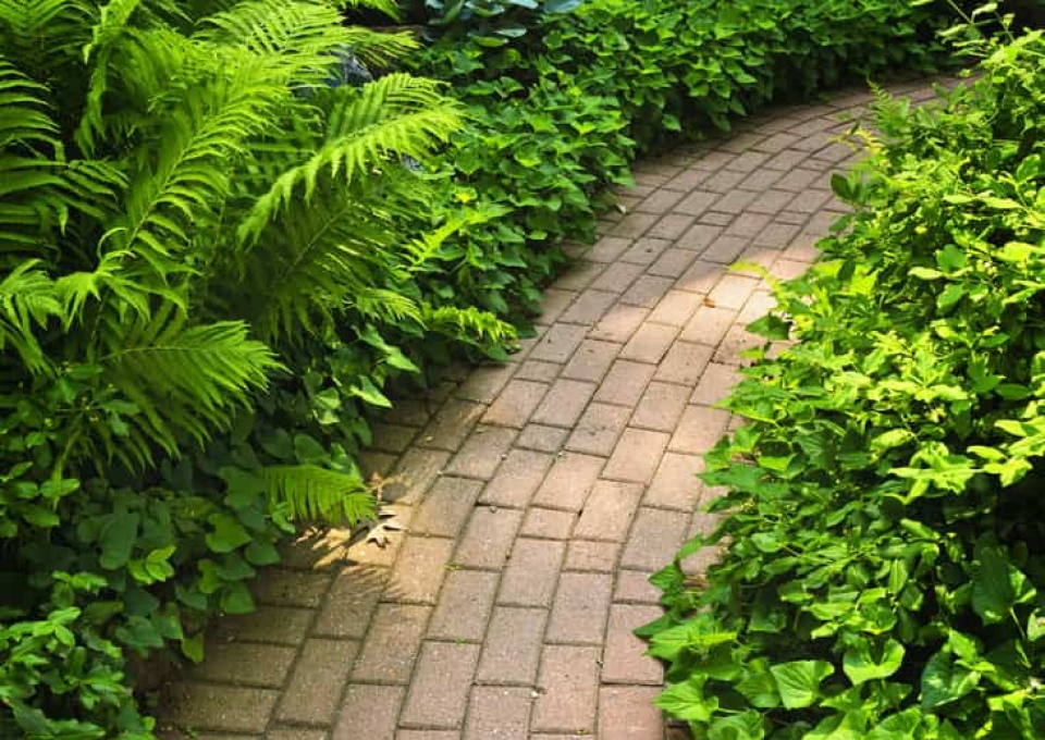 Paved Garden Path Ideas