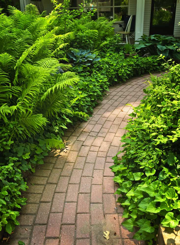 Paved Garden Path Ideas