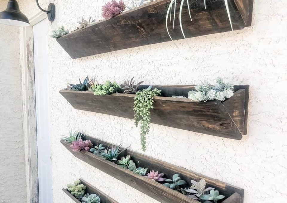 Plant Outdoor Wall Decor Ideas Nicolelucevichome