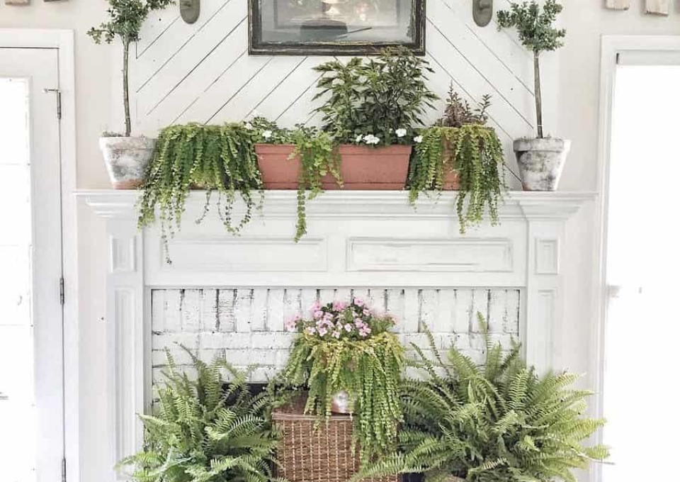 Plants Fireplace Decor Ideas Thegrayolivebranch