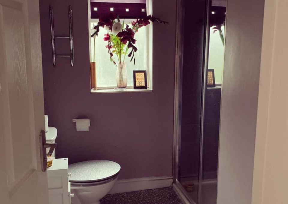 Purple Bathroom Paint Ideas Mycosyhome