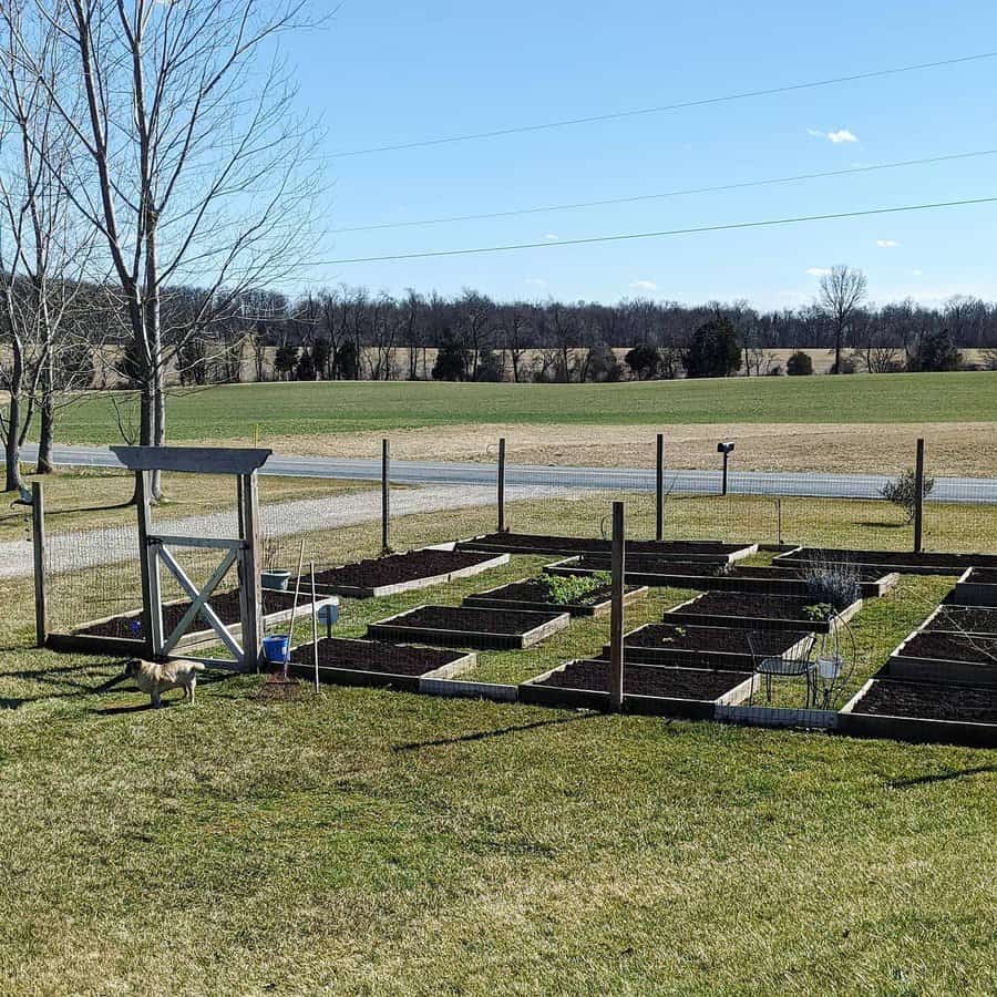 Raised Bed Garden Decor Ideas Greenladymeg