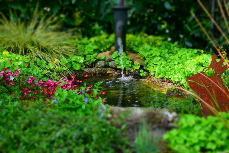 Small Backyard Pond Ideas