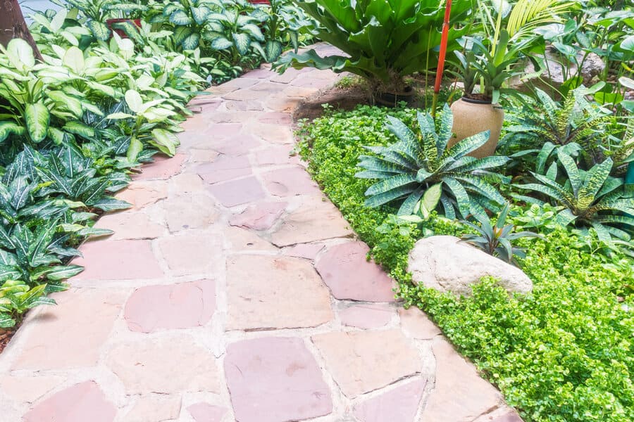 Stone Walkway Garden Path Ideas