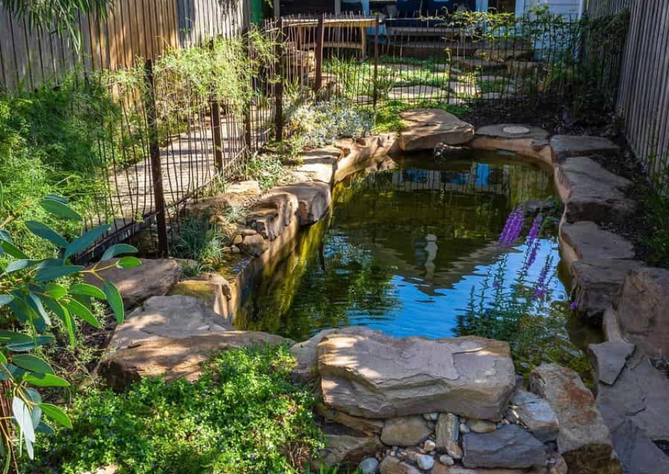 Swimming Pond Backyard Pond Ideas Phillip Johnson Landscapes