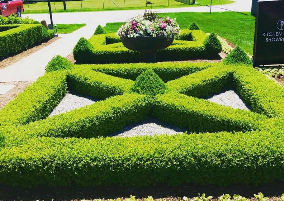 Topiary Landscaping Ideas For Front Of House Heritageoaks