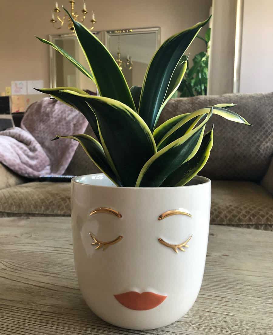 Unique Planter Ideas Sancqueen