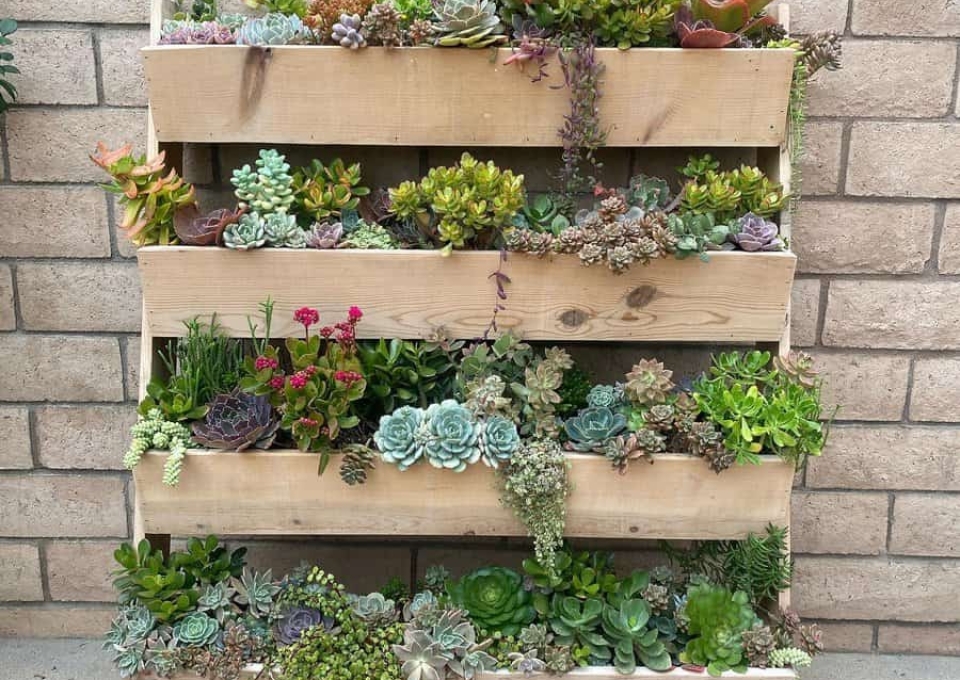 Vertical Planter Ideas A Home Jungle