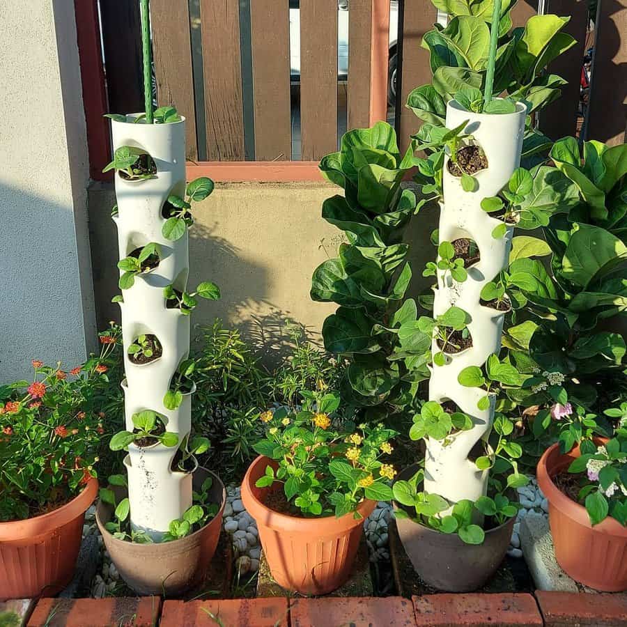 Vertical Planter Ideas Kebun Nori