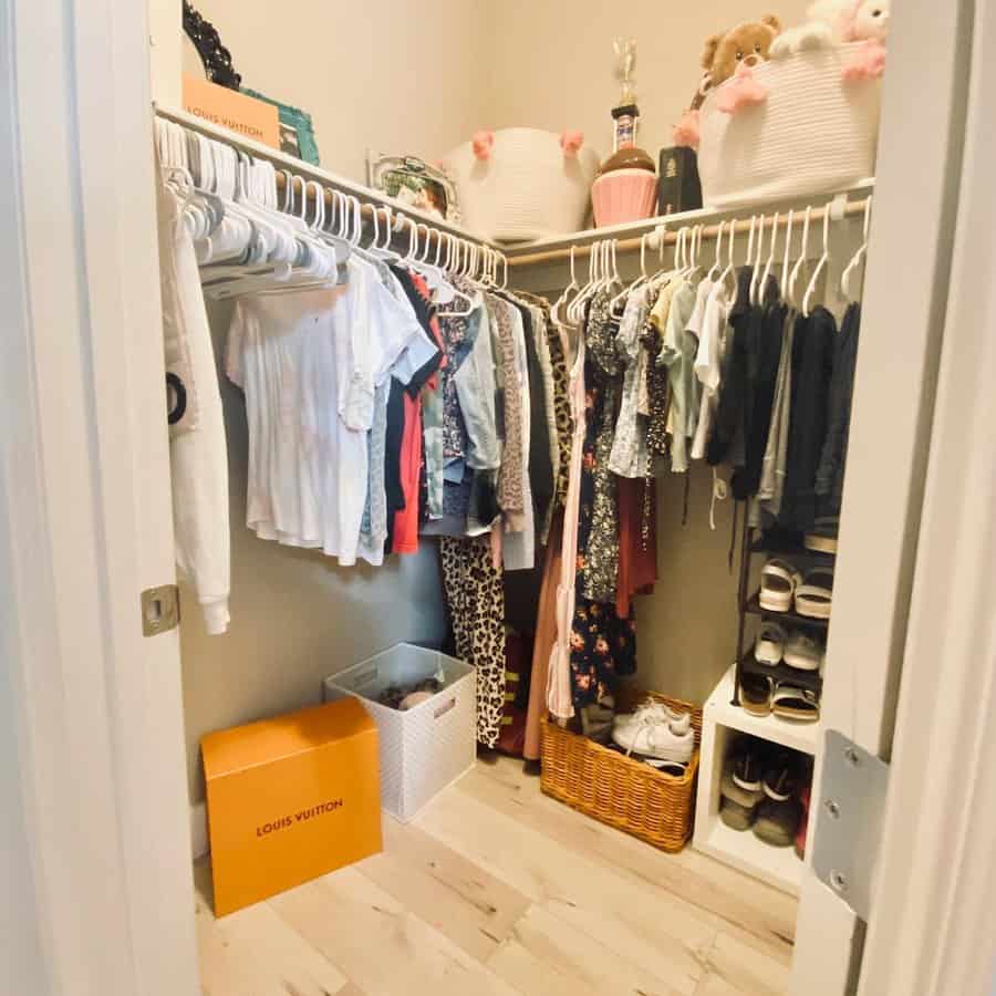 Walk In Small Closet Organization Ideas Alignedandarranged