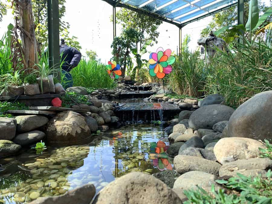 Waterfall Backyard Pond Ideas