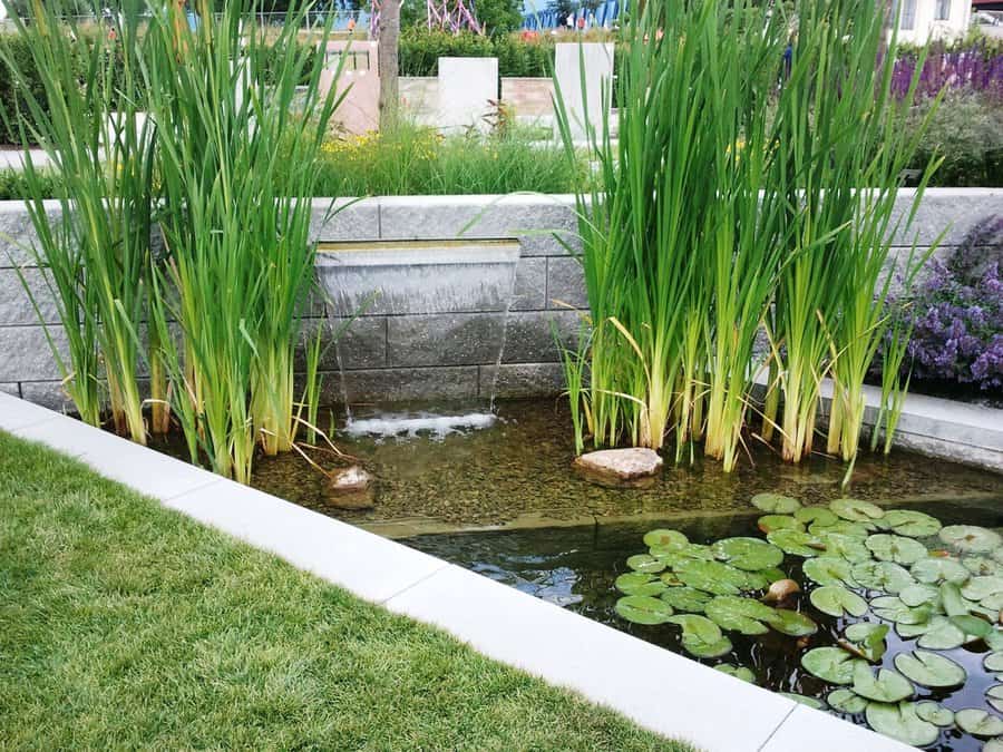 Waterfall Backyard Pond Ideas