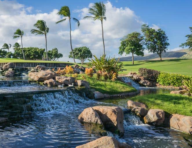 Waterfall Backyard Pond Ideas