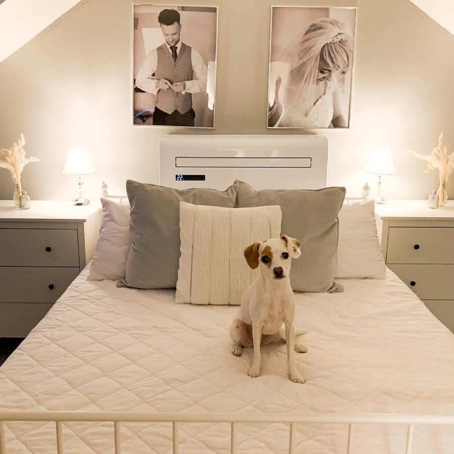 White Loft Bed Ideas Behindnumber