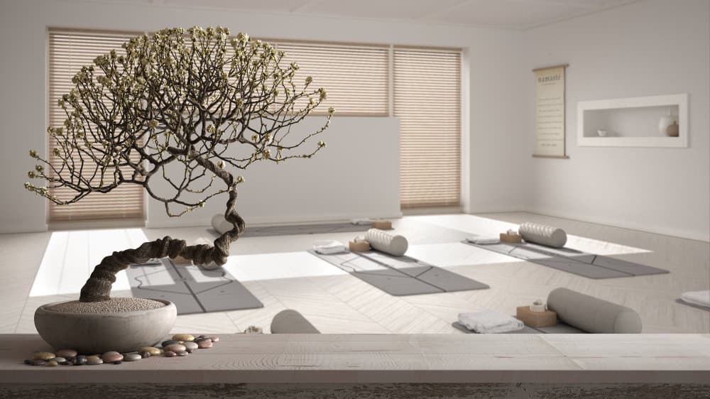 Yoga Meditation Room Ideas