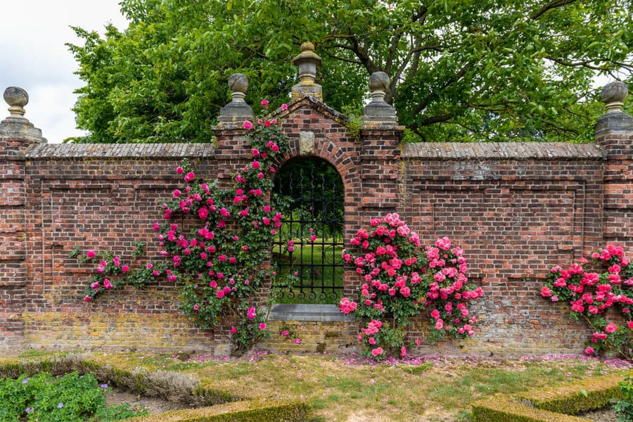 Brick Wall Garden Wall Ideas