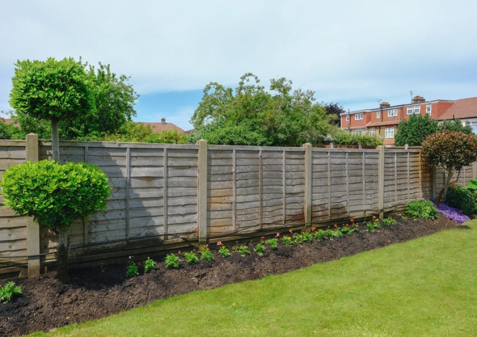 Fence Garden Wall Ideas