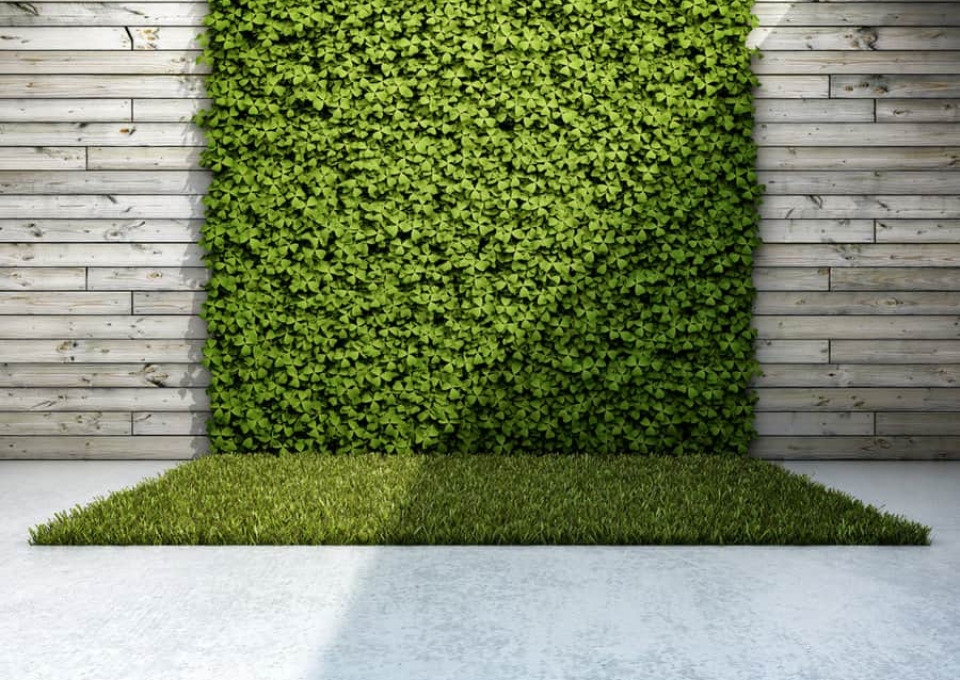 Grass Garden Wall Ideas