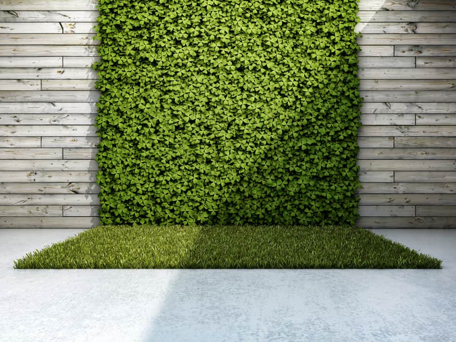 Grass Garden Wall Ideas