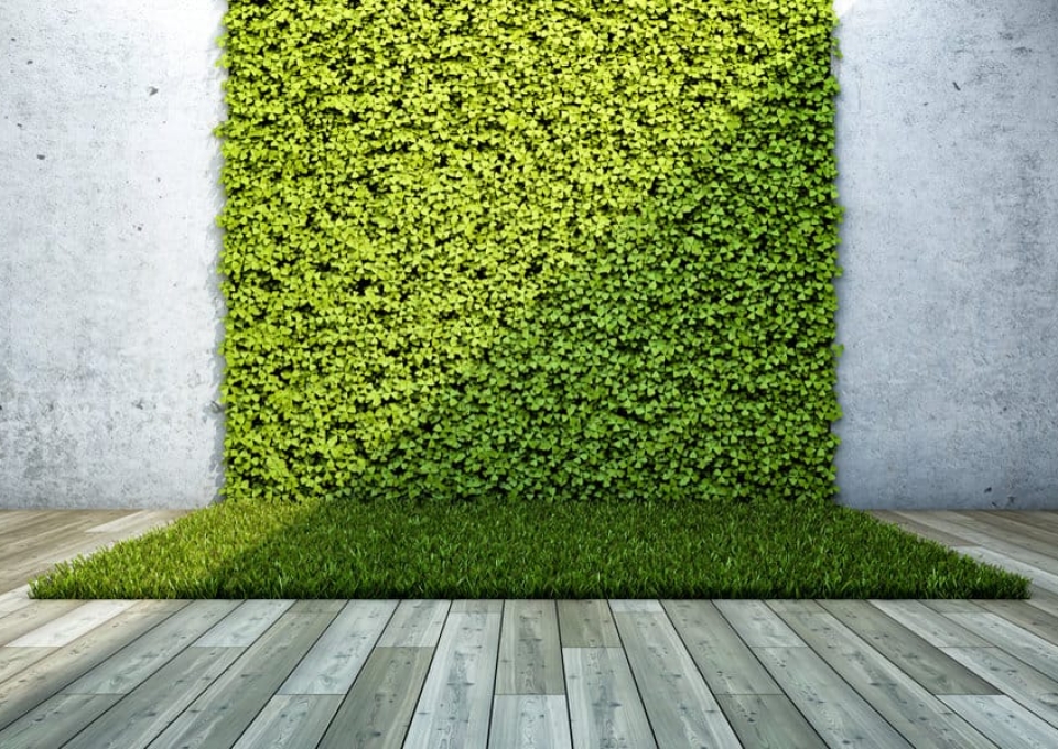 Grass Garden Wall Ideas