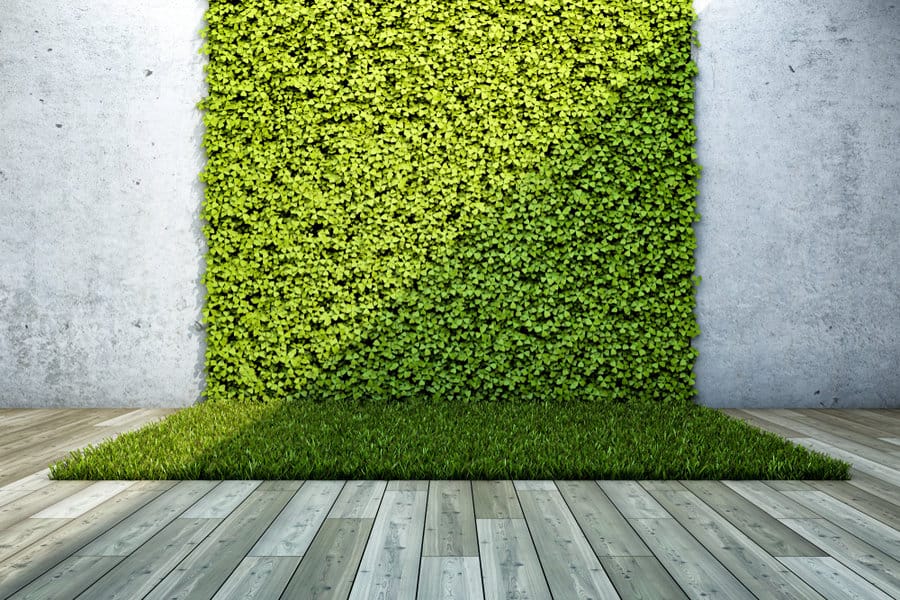 Grass Garden Wall Ideas