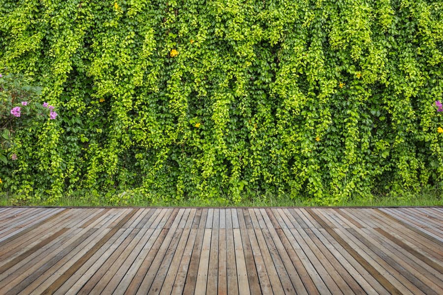 Grass Garden Wall Ideas