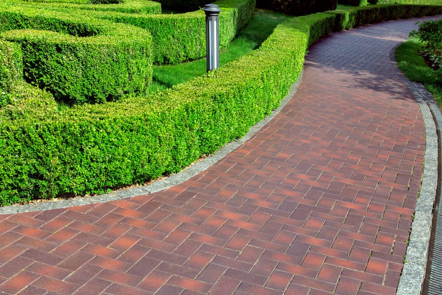 Hedge Sidewalk Ideas