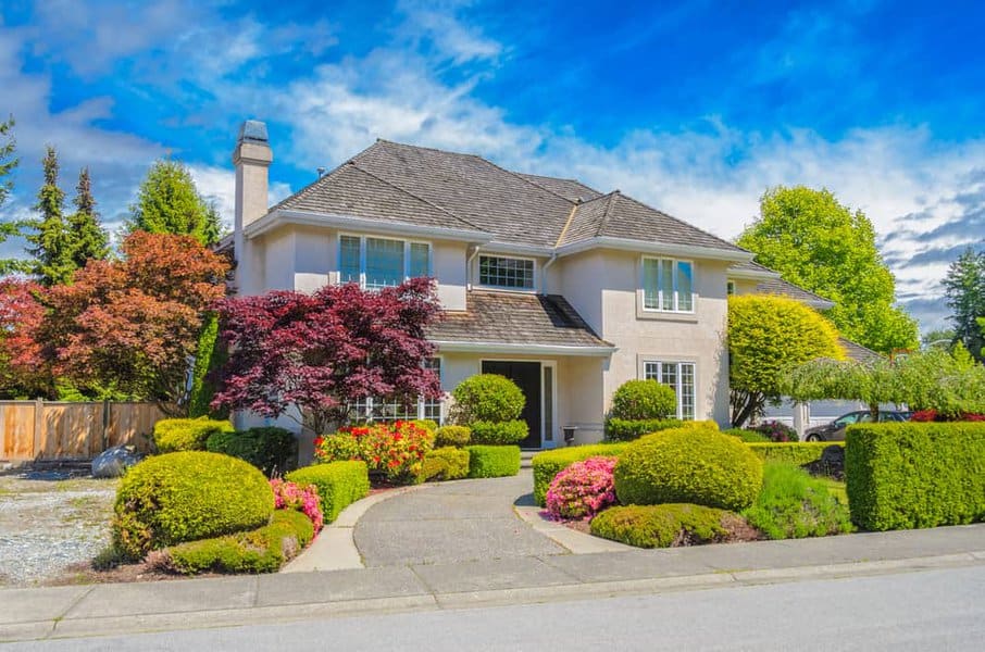 Hedge Sidewalk Ideas