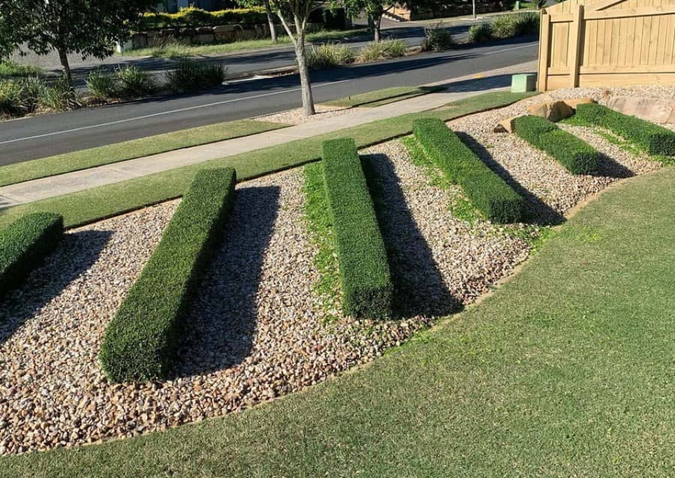 Hedge Sidewalk Ideas Brandon Lawn Whisperer