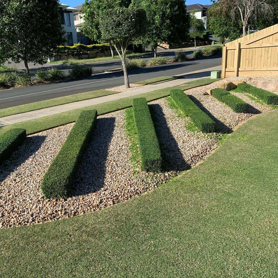 Hedge Sidewalk Ideas Brandon Lawn Whisperer