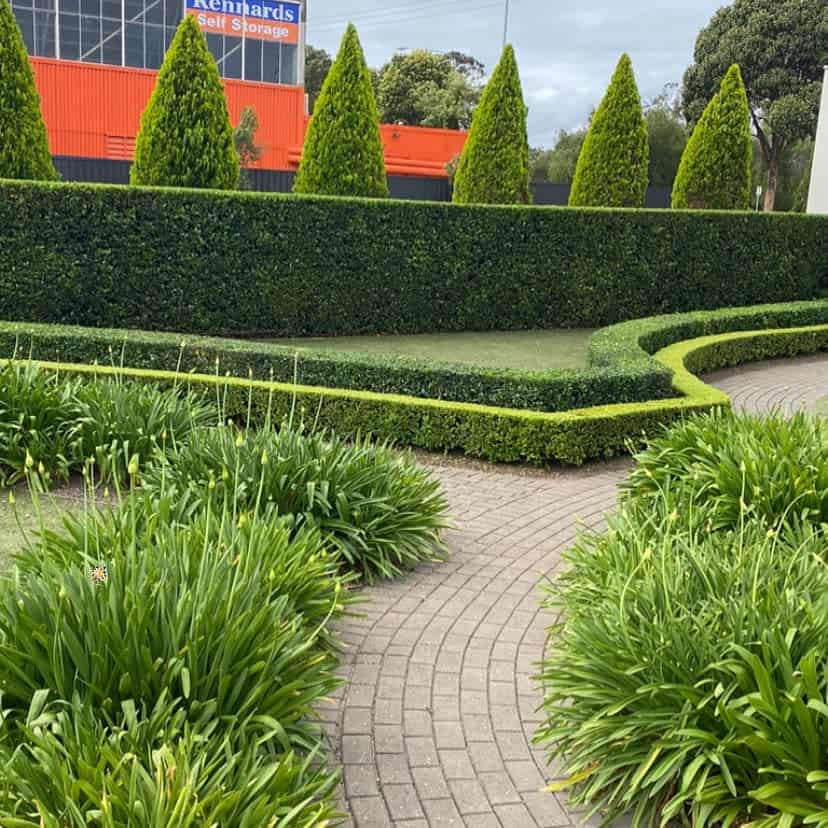 Hedge Sidewalk Ideas Defining Gardens