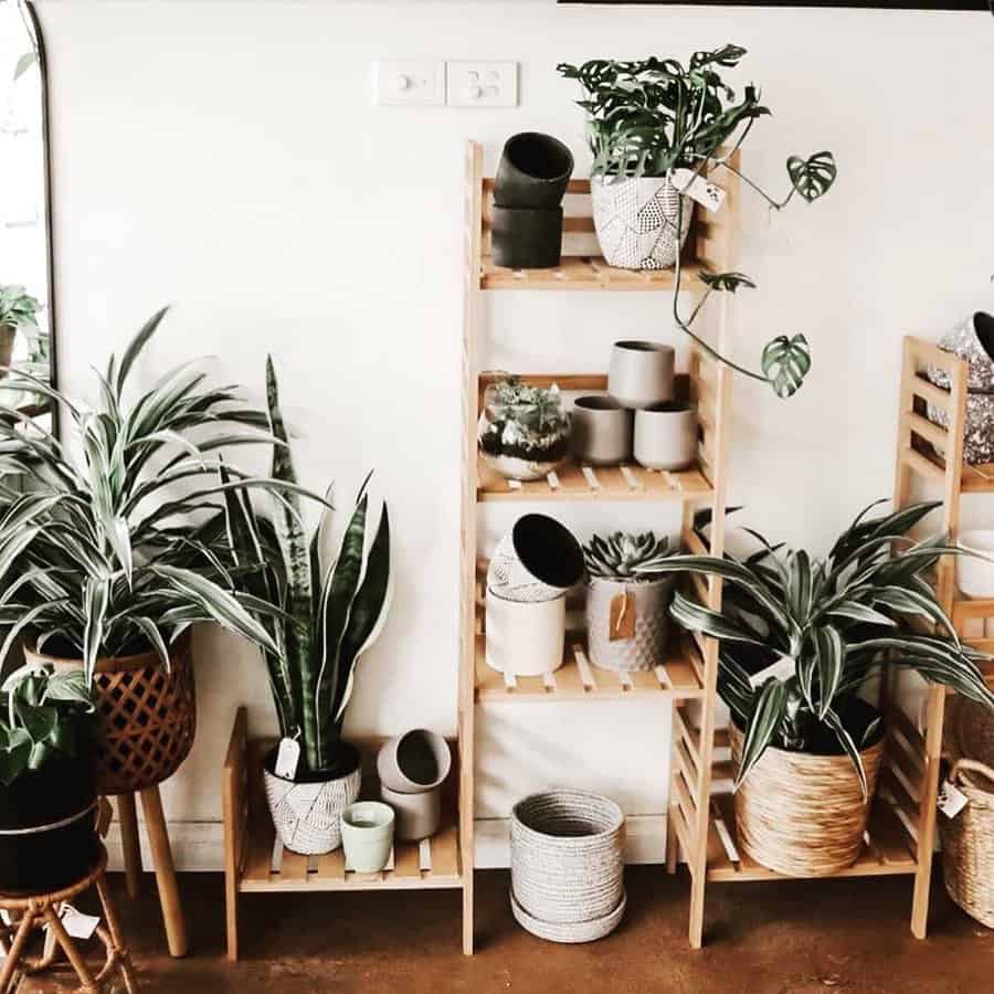 Plant Shelf Shelving Ideas Merakicreationz