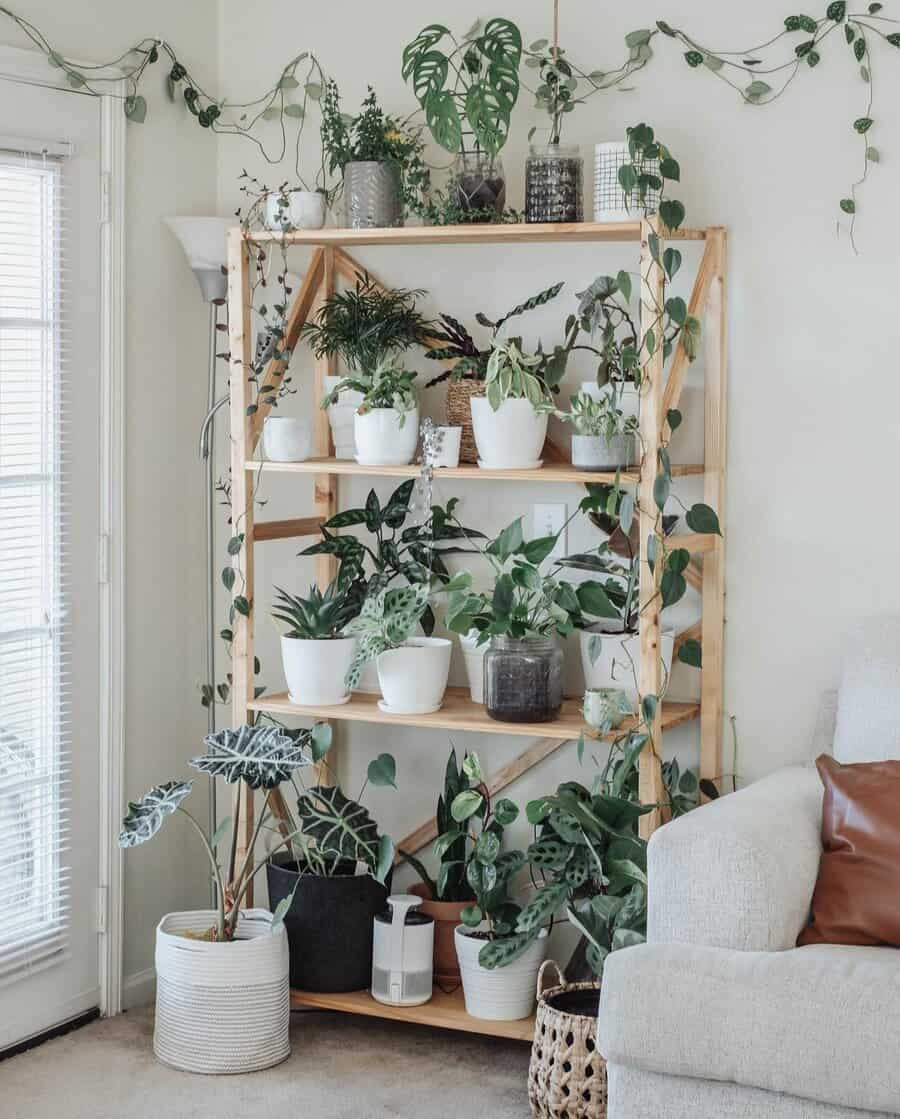 Plant Shelf Shelving Ideas Cultured Curlz