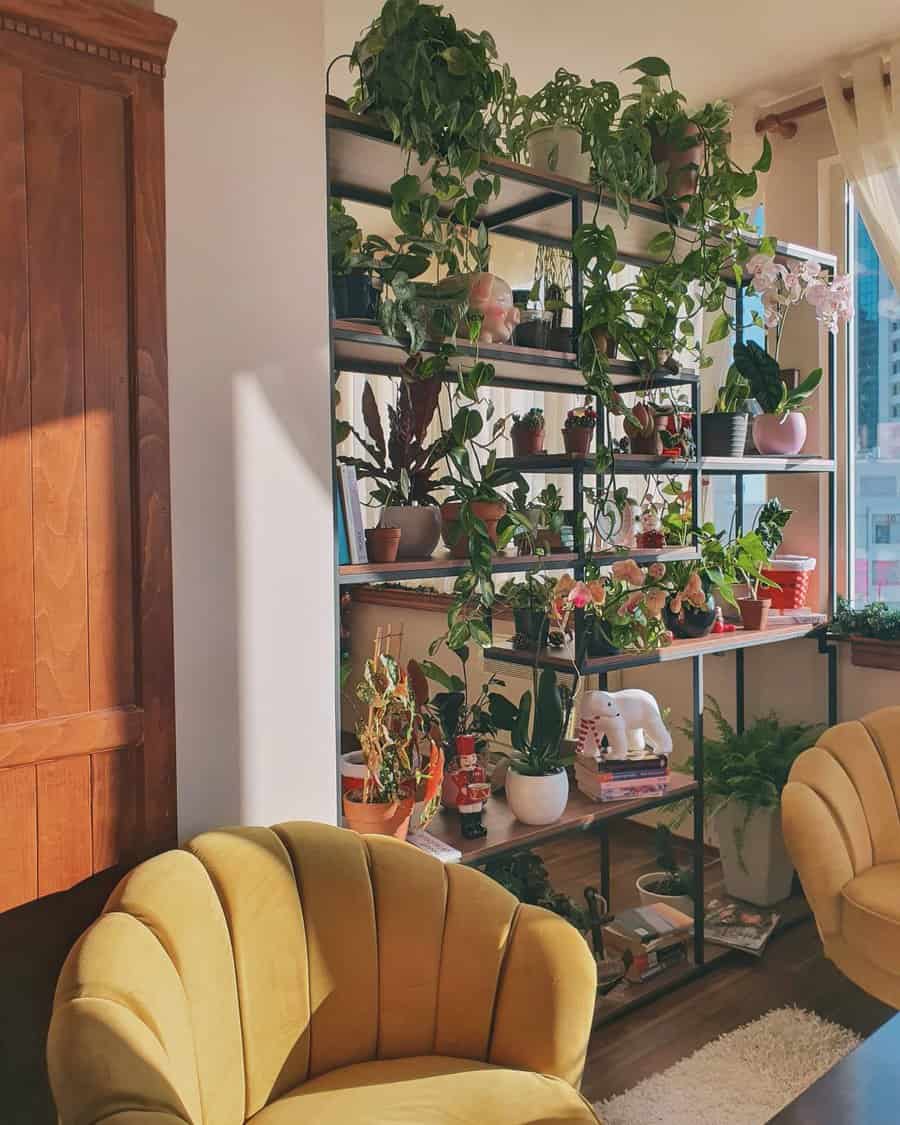 Plant Shelf Shelving Ideas Indoorplantsalbania