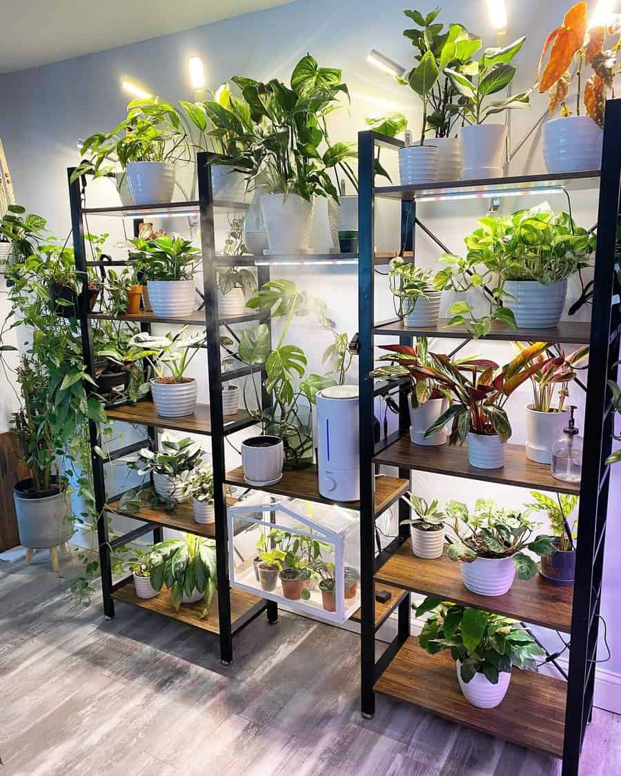 Plant Shelf Shelving Ideas Plantsandpits