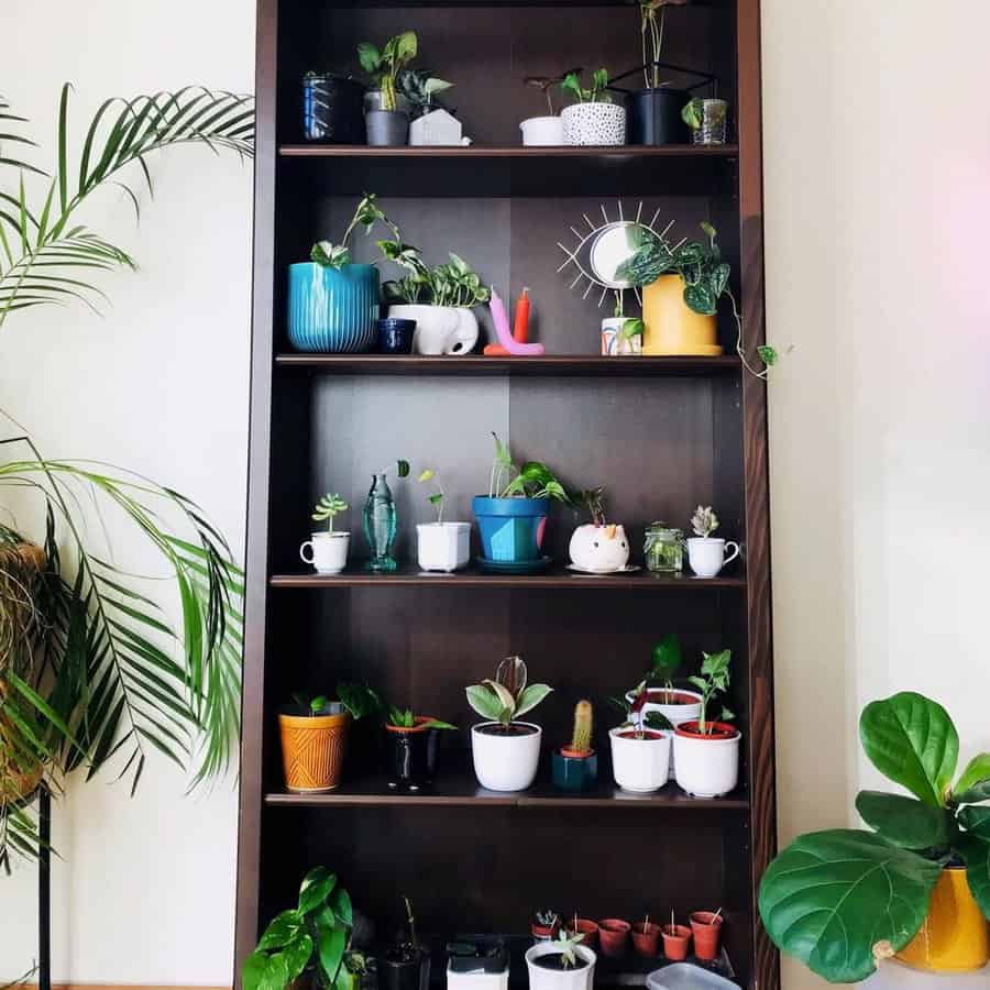 Plant Shelf Shelving Ideas Rebasnursery