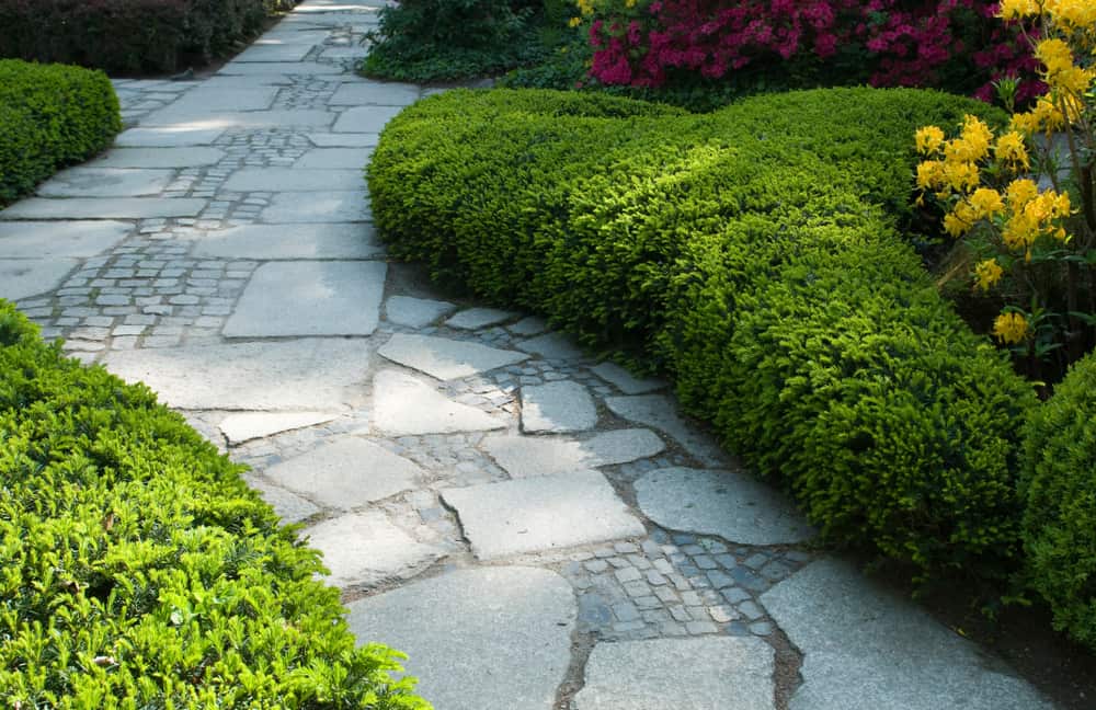 Stone Sidewalk Ideas