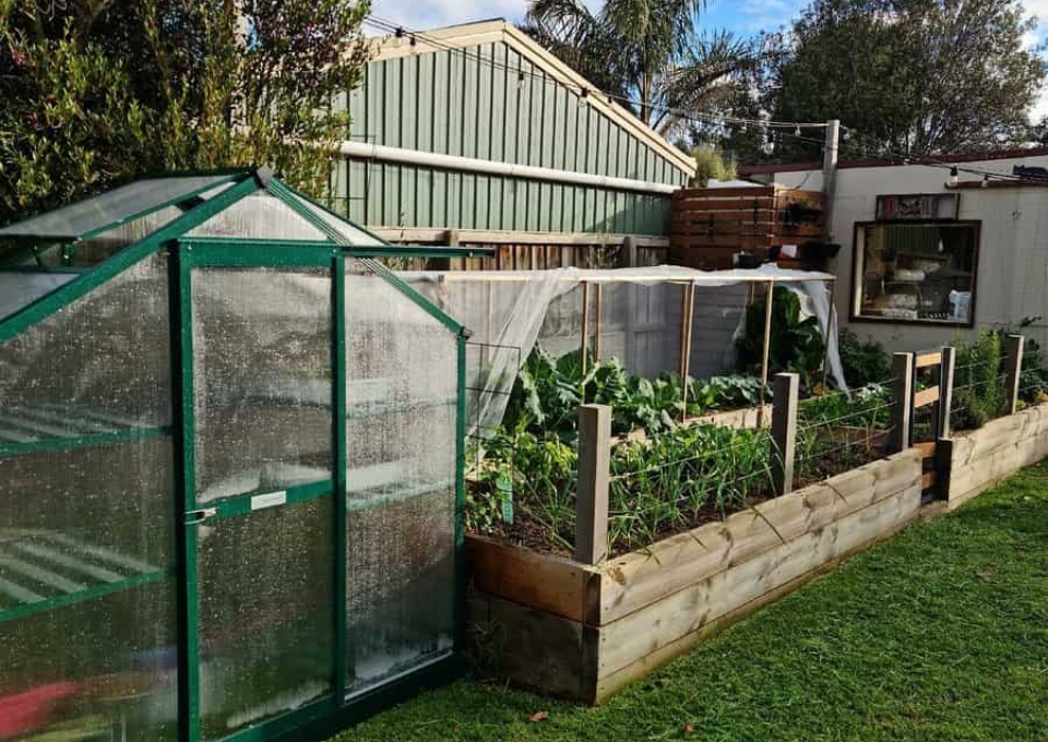 Tiny Greenhouse Ideas Ashs Backyardgarden