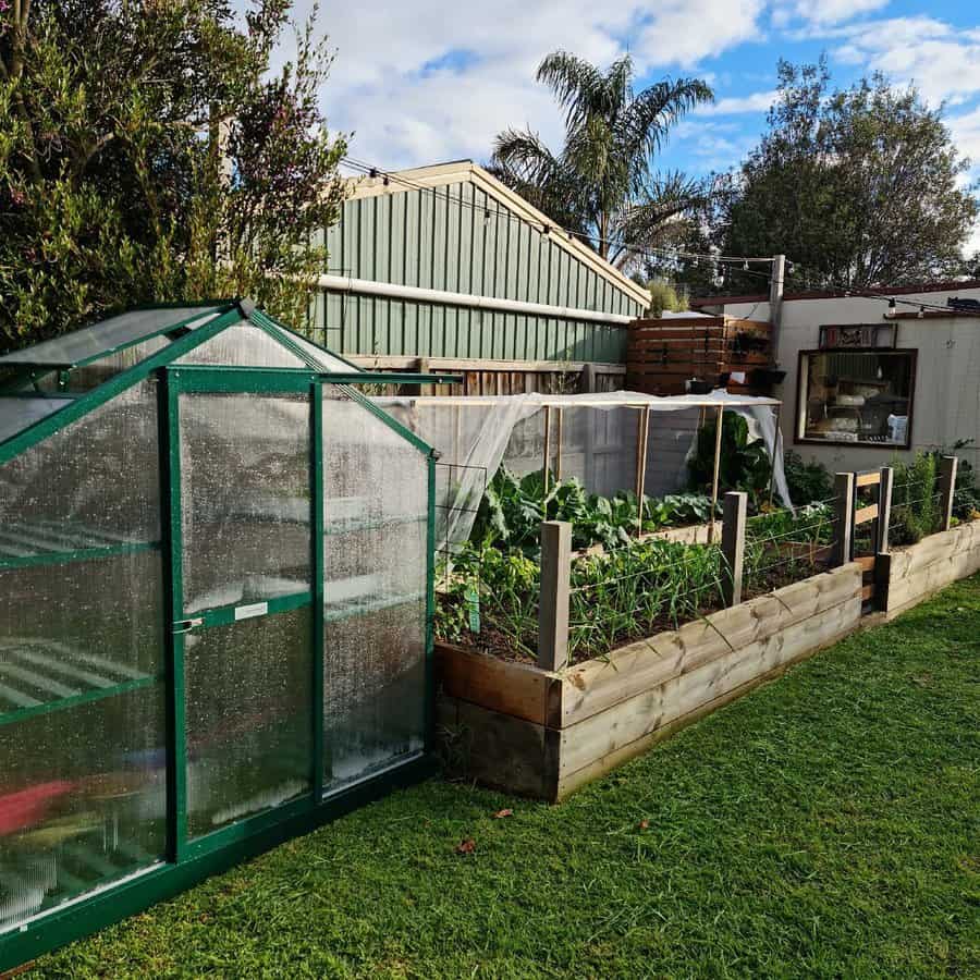 Tiny Greenhouse Ideas Ashs Backyardgarden